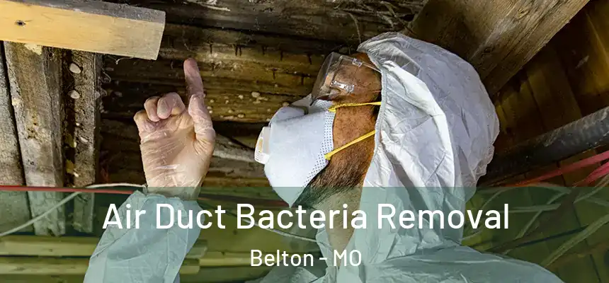  Air Duct Bacteria Removal Belton - MO