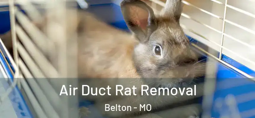 Air Duct Rat Removal Belton - MO