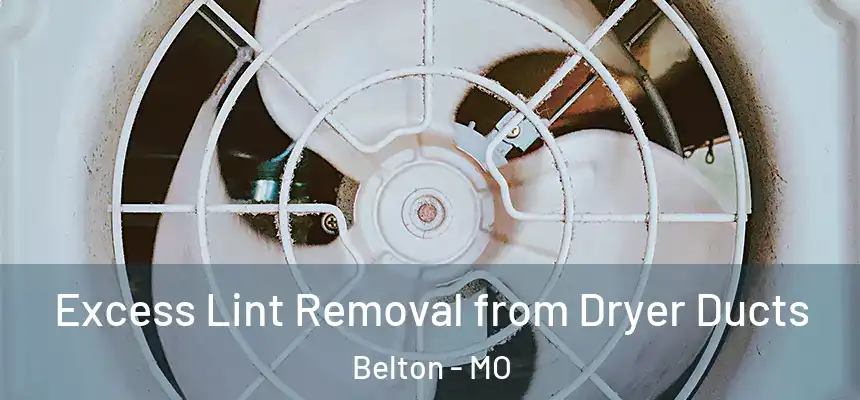 Excess Lint Removal from Dryer Ducts Belton - MO