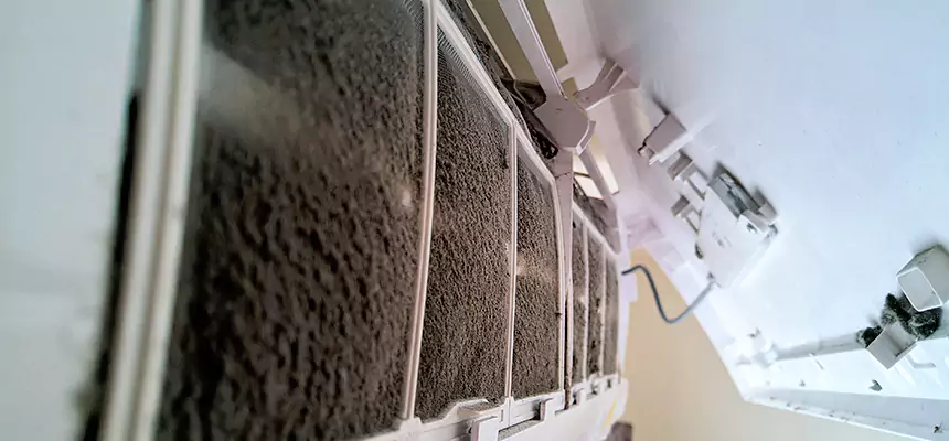 Preventive Air Duct Bacteria Removal in Belton