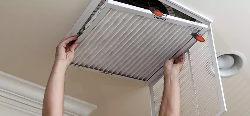 Preventive Cockroach-Proofing for Ducts in Belton