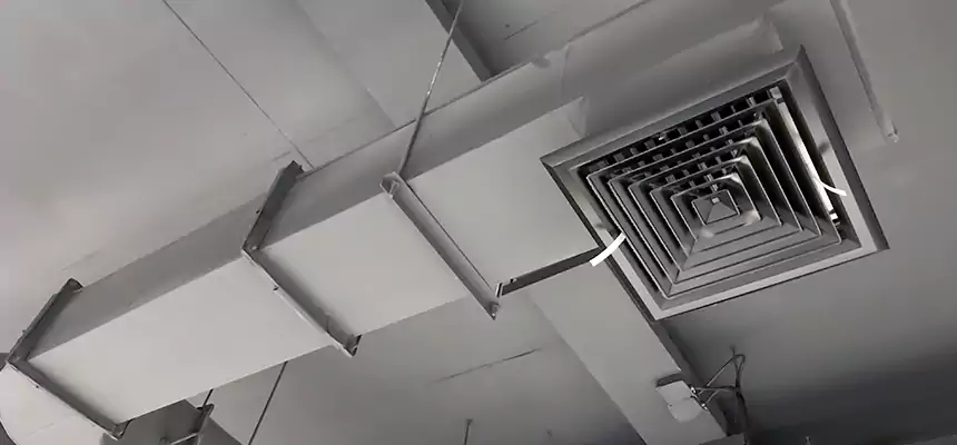 Our Pest Removal From Ducts Services in Belton, MO