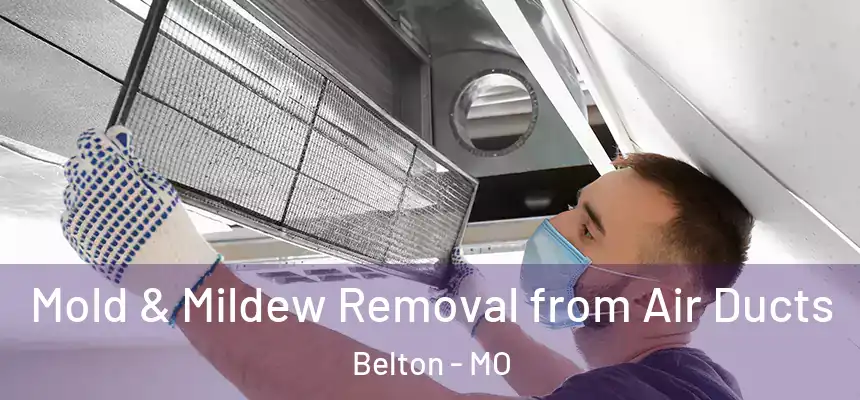 Mold & Mildew Removal from Air Ducts Belton - MO
