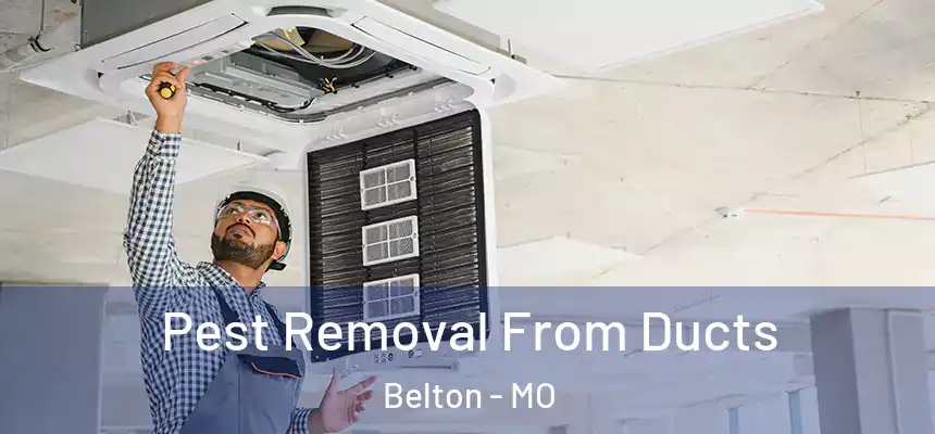 Pest Removal From Ducts Belton - MO