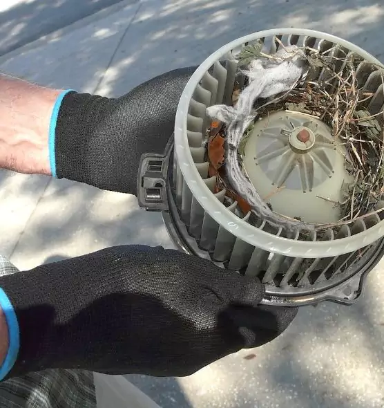 About Air Duct Mice Removal in Belton, MO