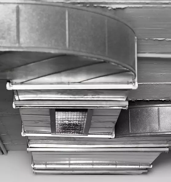 Professional Air Duct Pest Removal in Belton, MO