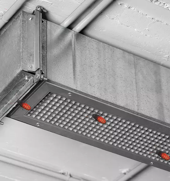 Affordable Insect Removal from Air Ducts in Belton, MO