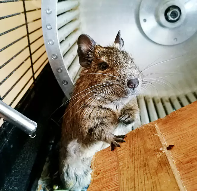 Why Homeowners & Businesses Trust Us Belton, MO