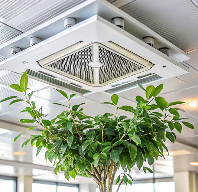 Why Homeowners & Businesses Trust Us in Belton, MO?